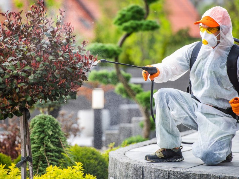 Çeltikçi Haşere İlaçlama